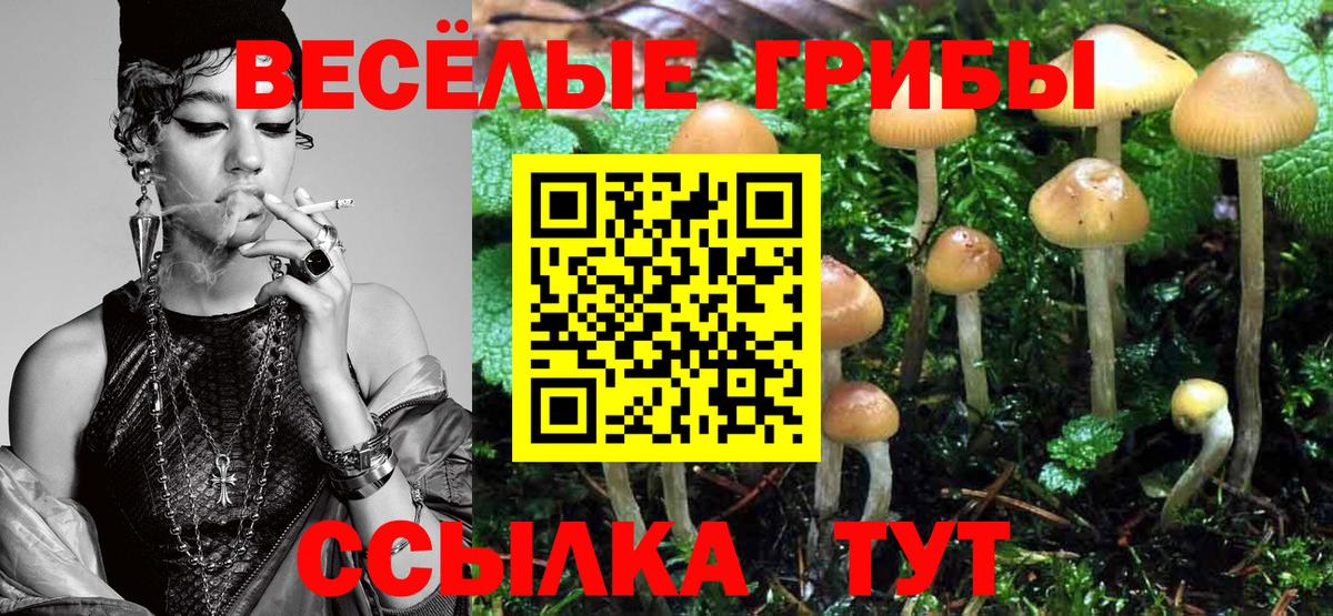 Псилоцибиновые грибы Cubensis  Вход с VPN  Соль-Илецк  Псилоцибиновые грибы MAGIC MUSHROOMS 