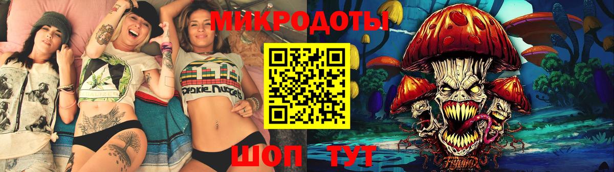Псилоцибиновые грибы Psilocybe Соль-Илецк