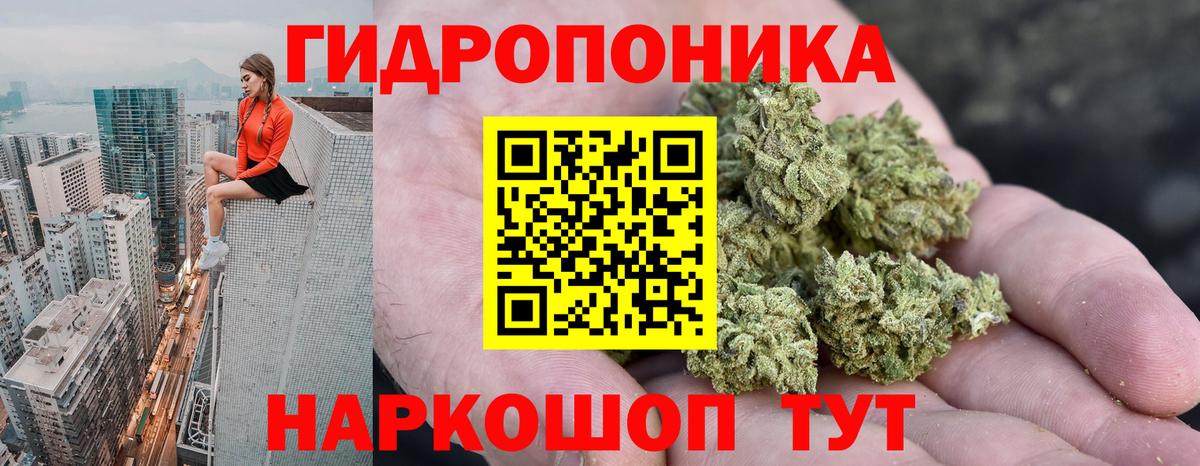 Марихуана Bruce Banner  Вход с VPN  Марихуана семена  Каннабис Bruce Banner  Соль-Илецк 